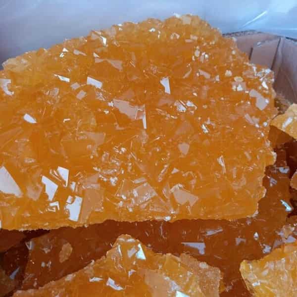 تصویر 3 از قیمت خرید نبات تخت مخصوص  + فروش ویژه